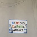 연어광어 이미지