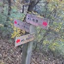 소래산공영주차장 | 초보 등산코스 | 가을 소래산 등산 후기 (장수동 은행나무 연계코스 추천)