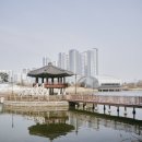 한국토지주택공사 파주사업본부 | 운정 호수 공원 벚꽃 구경하러 간 아론이의 일상들