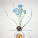 02 Life.S.C 헬스 이미지