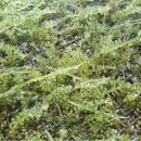 대황축산 이미지