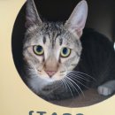 묘릉도원 이미지