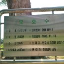 지정면 (능촌) 네이버블로그