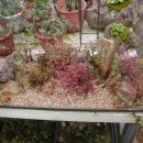 연세농장 이미지