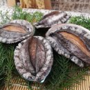 완도전복 이미지