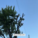 민상혁기둥정형외과의원 네이버블로그