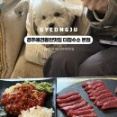 애견동반 금리단길맛집 더잡주소 본점 육회 육사시미 후기