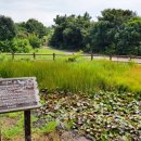 신풍리-3 이미지