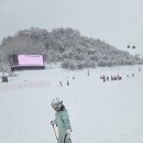 CU 장평대한점 | 평창 휘닉스파크 렌탈샵 에이스에서 스키 보드 강습 리프트권 꿀팁 셔틀 무료 픽업까지 한방에 해결!