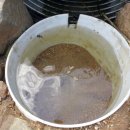 푸른샘농장 이미지