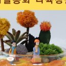 요기사이소 이미지