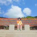 (주)태평성대 이미지