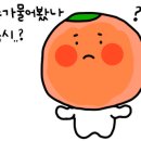 케이메가