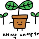 리더스 블랙박스 학원