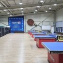 포항드림 단식리그 (11월 29일 토요일 오후3시) 이미지