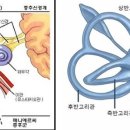 금호튼튼한의원 이미지
