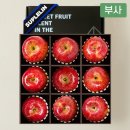 과일#
