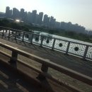 코끼리손세차