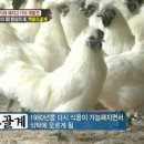 백봉인 이미지