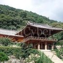 안동김씨현감공파빌딩 | 2025년 해풍회 영주시 및 봉화군 풍수답산 예정지