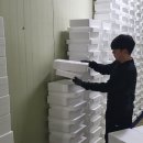 하나뜰농장 이미지