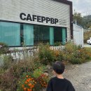 비피펜션 | 청도 애견카페 &amp; 에어바운서 있는 피피비피 ! 캠프닉도 가능하고 식사도 가능. 아이랑 함께 가기 좋아요