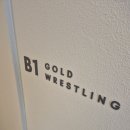 골드레슬링 | *골드 레슬링 연신내 은평 1년 수강 후기*