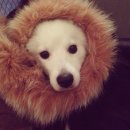 <피망셀렉샵>배송명단+ 소중한후기+입고지연상품안내 ☆