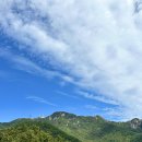 팔공산힐링 | 대구 자연 힐링 여행, 팔공산 방문 후기 🌿