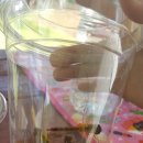 은해로운 캠핑장 이미지