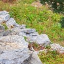 산동목장 이미지