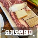 요기오면돼지