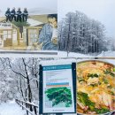 (주)동백여행사