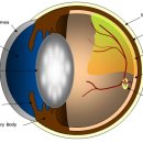 24시알파동물메디컬센터 이미지