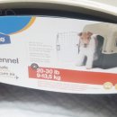 코지하우스 켄넬 이미지