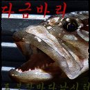 조부장바다낚시터 이미지