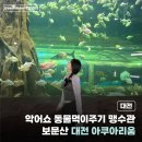 탕가니카 | [대전] 악어쇼부터 동물 먹이체험, 맹수관까지 있는 보문산 대전 아쿠아리움