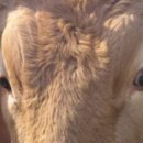 장터식육식당 이미지