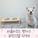 파인클라우드 | 강아지 식기 받침대 높이조절이 가능한 라클라우드 펫 파인스텝 식기대