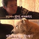 누렁이농장 이미지