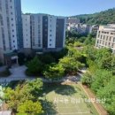 자곡공인중개사사무소 이미지