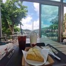 신기한 동식물여행 2 이미지