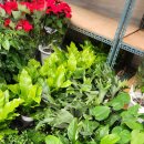 타워스프트 이미지