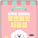 검단산등산로(아빠사랑화장실) | 하남고양이분양 후기 우리 집에 찾아온 작은 기적, 유앤미펫시흥점에서 시작된 특별한 만남