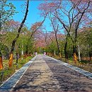 안봉구 작은정원 이미지