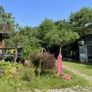 별천지하임 이미지