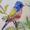 빨간풍선미술창작소미술교습소 | 마포구 신촌,광흥창역,서강대역 성인취미미술반