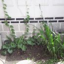 장수한약국 이미지