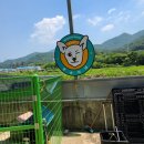 아이스홀릭 정관점 이미지