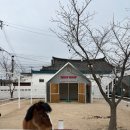 후프후프